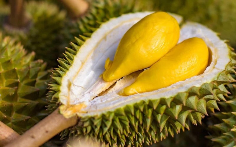 đặc sản đắk nông