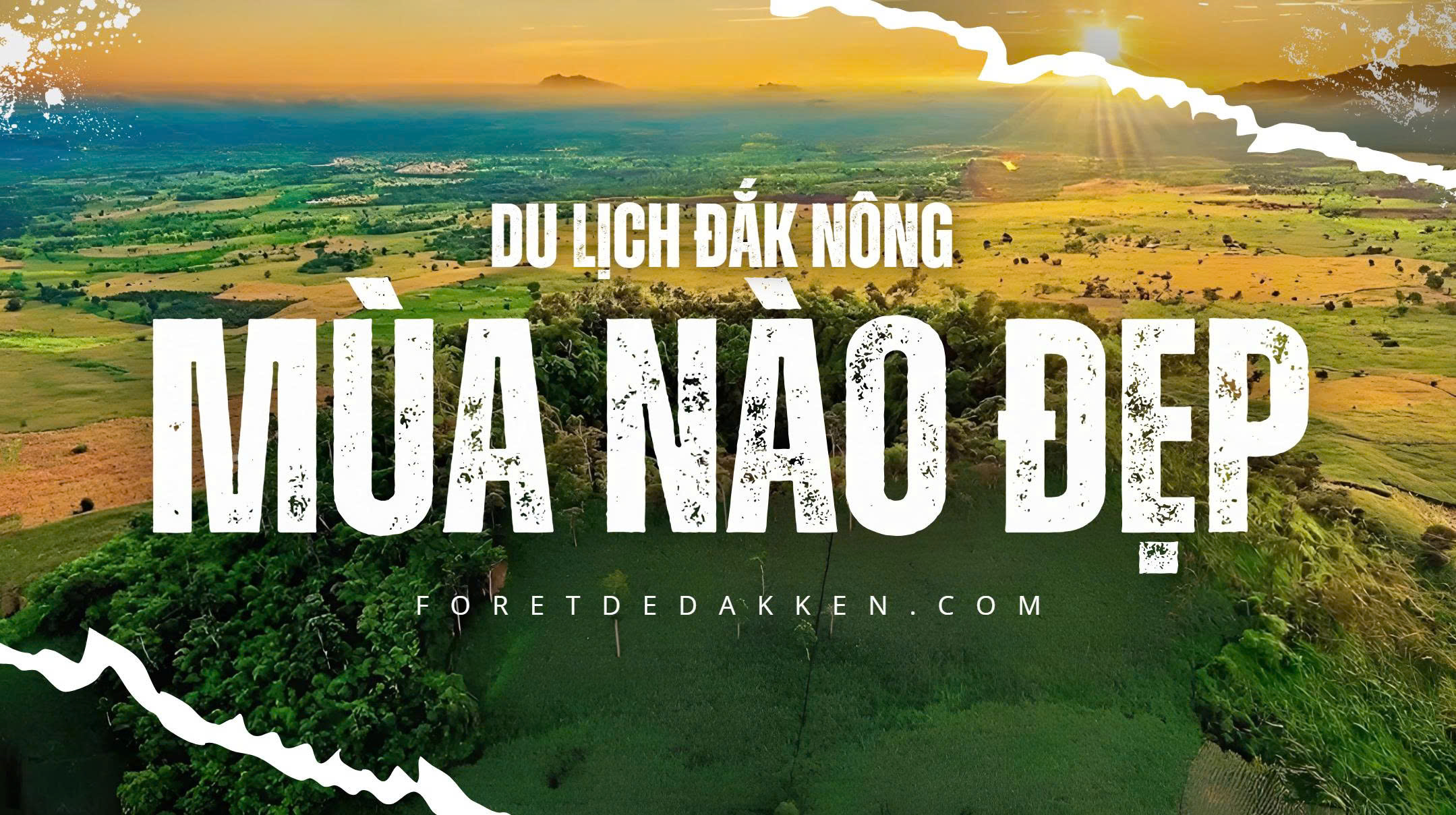 [2025] Du Lịch Đắk Nông Mùa Nào Thích Hợp Nhất? Hướng Dẫn Thực Tế Về Thời Tiết & Các Sự Kiện Lớn