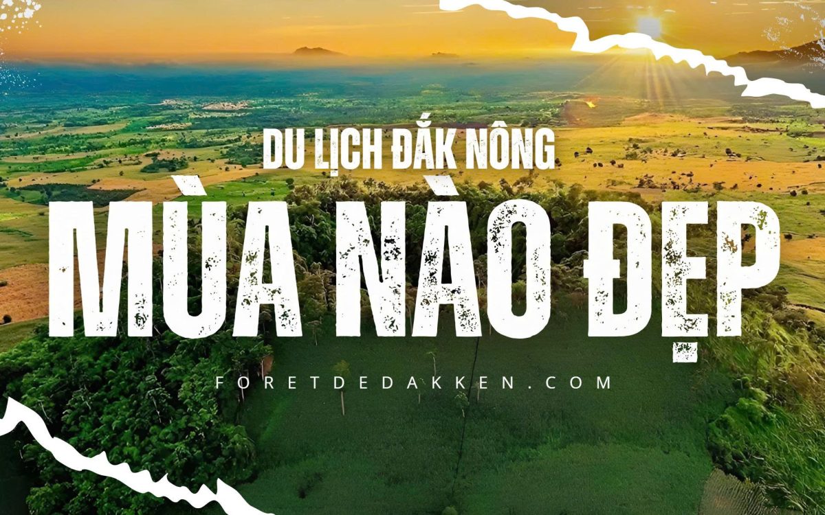 [2025] Du Lịch Đắk Nông Mùa Nào Thích Hợp Nhất? Hướng Dẫn Thực Tế Về Thời Tiết & Các Sự Kiện Lớn