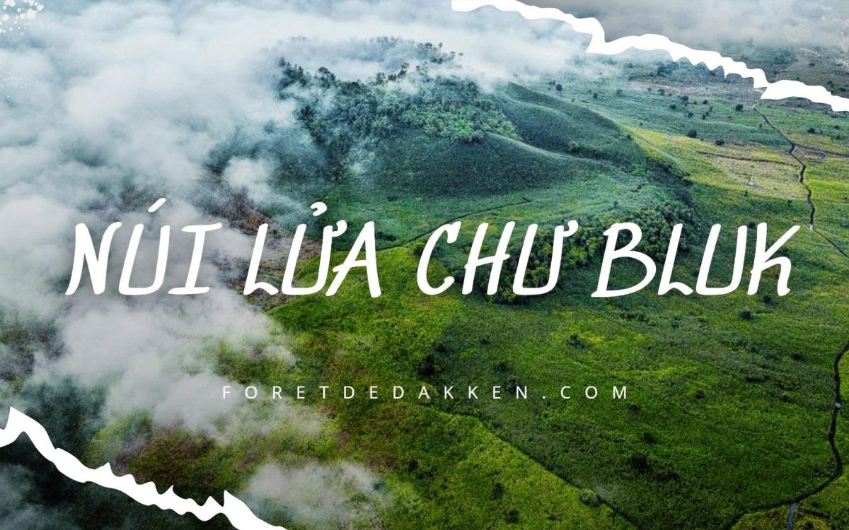 [ 2025 ]KHÁM PHÁ NÚI LỬA CHƯ BLUK – Trải Nghiệm Hang Động Dung Nham Duy Nhất Tại Việt Nam